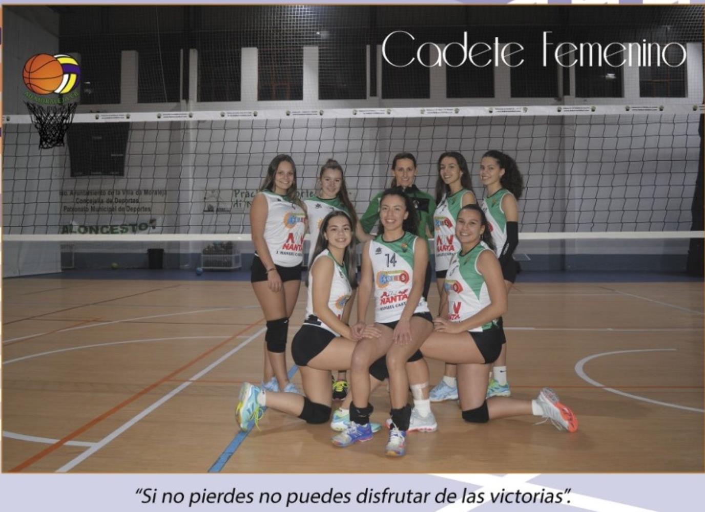 VOLEIBOL