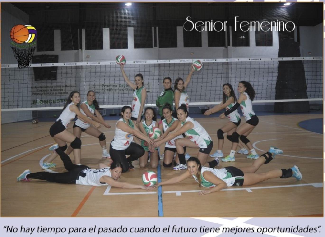 VOLEIBOL