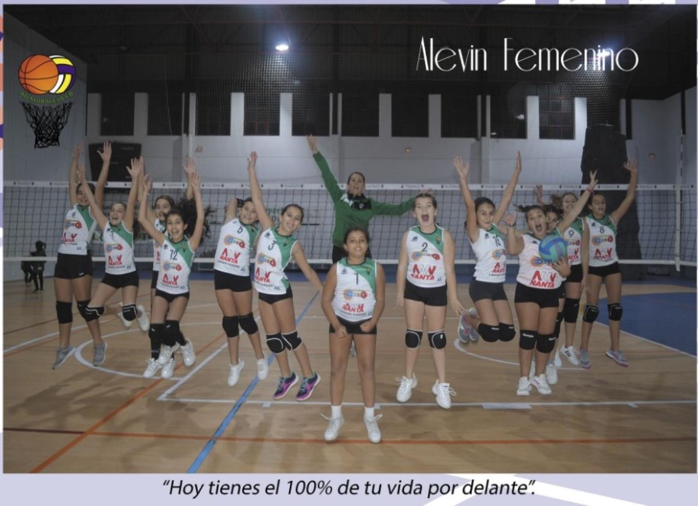 VOLEIBOL