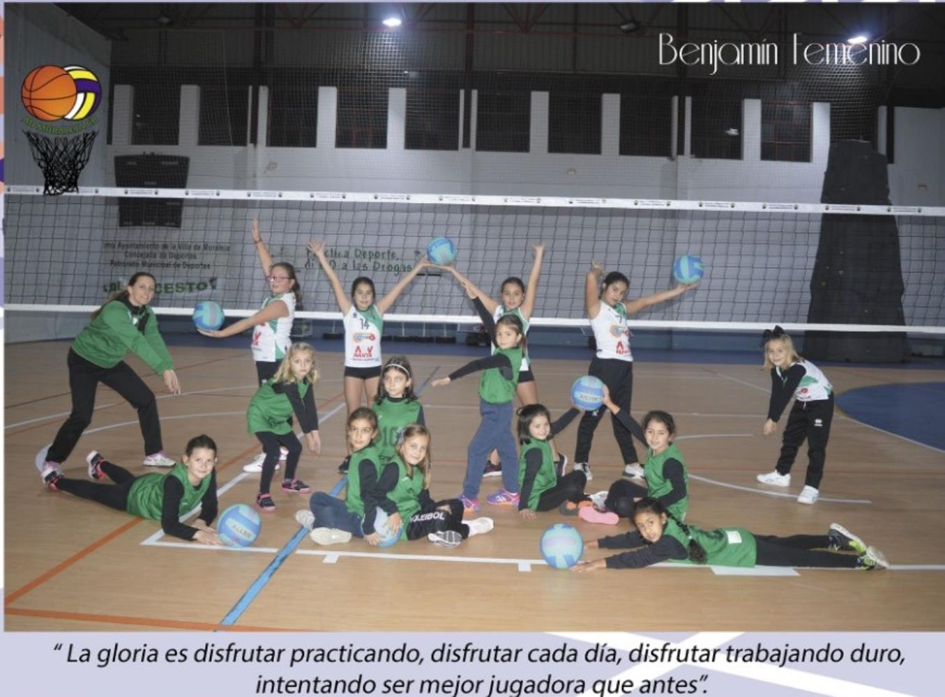 VOLEIBOL